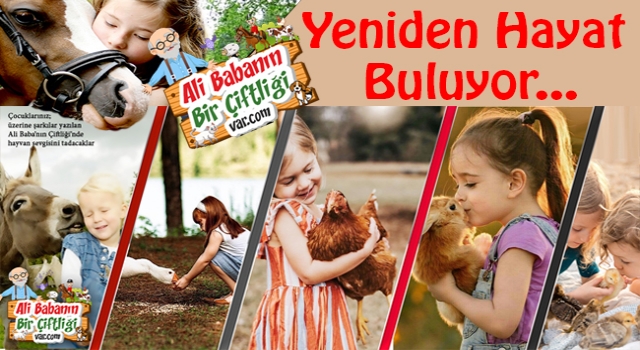 Bir Rüya Gerçek Oluyor...Ali Babanın bir Çiftliği var...